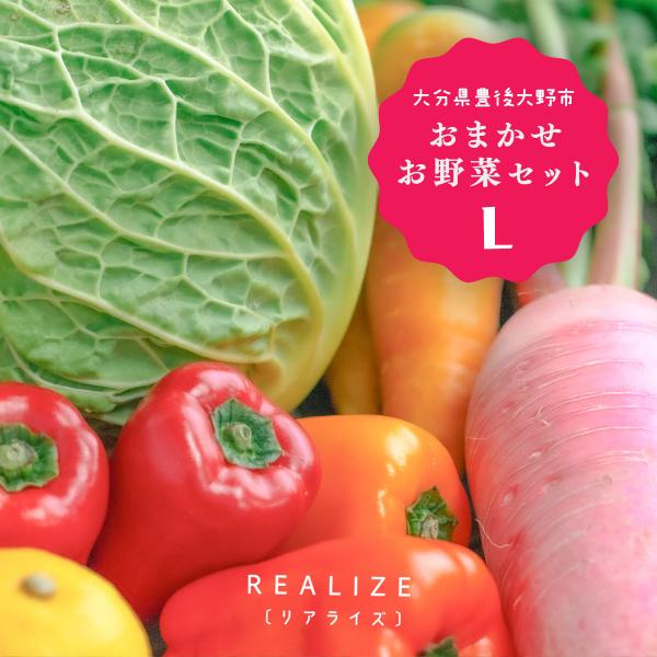 野菜セット REALIZE 送料込 3980円 大分県豊後大野 おまかせお野菜セットL 旬のお野菜、...