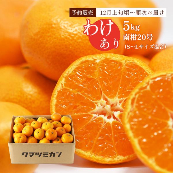 みかん 5kg 温州みかん(南柑20号) 訳あり品 5kg S~Lサイズ混合 果物 送料無料 玉津柑...