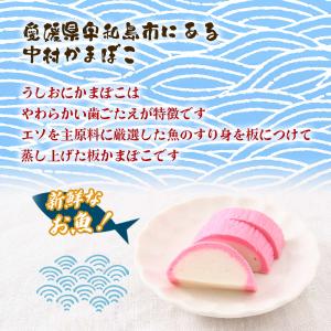 かまぼこ 中村かまぼこ うしおにかまぼこ 赤 ...の詳細画像1