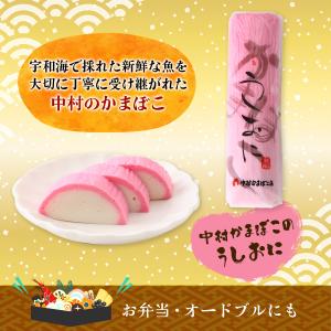 かまぼこ 中村かまぼこ うしおにかまぼこ 赤 ...の詳細画像2
