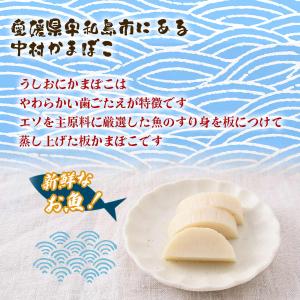 かまぼこ 中村かまぼこ うしおにかまぼこ 白 ...の詳細画像1