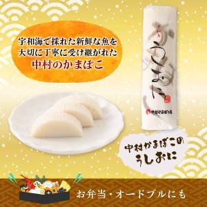 かまぼこ 中村かまぼこ うしおにかまぼこ 白 ...の詳細画像2