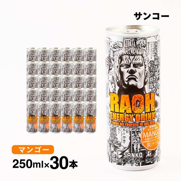 炭酸飲料【ケース販売】 [サンコー] ラオウエナジー マンゴー 250ml×30本 /ドリンク 最強...
