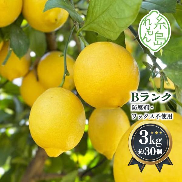 レモン 3kg 送料無料 [糸島れもん] 糸島レモン 等級B 3kg(約30個) 【発送時期:10月...