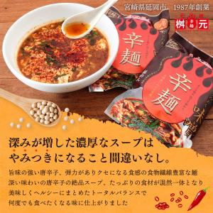 味噌辛麺 送料無料 [辛麺屋 桝元] 辛麺 コ...の詳細画像4
