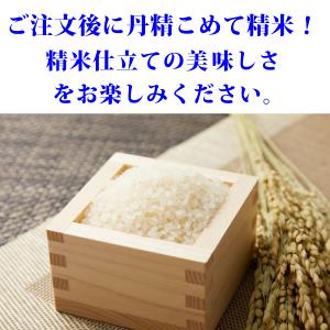 米 お米 ミルキークイーン 千葉県産 10kg...の詳細画像4