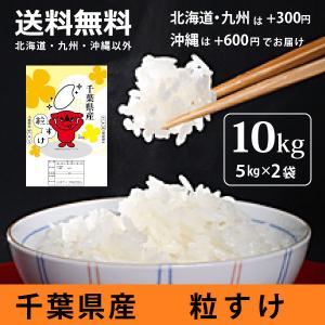 2025年産（令和7年産）千葉県産 ふさこがね 5kg【無洗米5kg×1袋】 : 食