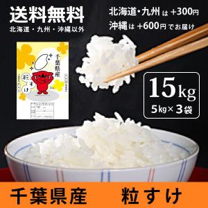 日本ライズYahoo!店 - Yahoo!ショッピング