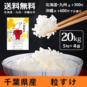 令和7年産 米 お米 粒すけ 白米 10kg 5kg×2袋 本州四国 送料無料 爆買