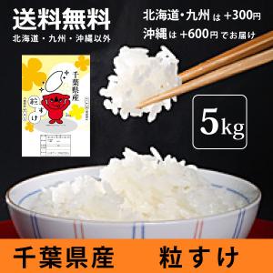 コシヒカリ 千葉県いすみ市産 いすみ米 白米10kg 令和7年産 : お酒とお