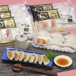 黒豚「短鼻豚」生餃子セット (有)鹿児島ますや・鹿児島県 送料無料 ポイント消化