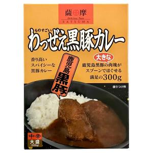 スパイス香る牛すじカレー : 産直お取り寄せNセレクト Yahoo!店 - 通販