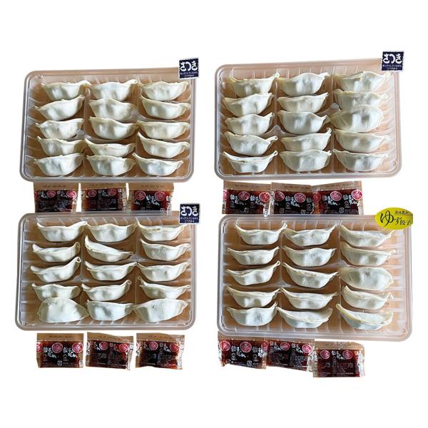 栃木 宇都宮餃子「さつき」セット 1410025【沖縄県・離島 配送不可】