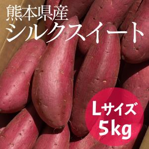 サツマイモ 熊本県産 シルクスイート 国産野菜 さつまいも 焼き芋 A等級 Lサイズ 5kg 九州産 岐阜県 ※期間限定商品 送料無料｜nipponselect