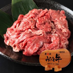 国産黒毛和牛 切り落とし 400g 牛肉 みなと牛 ブランド牛 お買い得 丸福商店 赤身 ヘルシー 有限会社丸福商店 岐阜県 送料無料 ポイント消化｜nipponselect