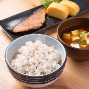 もち麦 讃岐もち麦 ダイシモチ お試し 500...の詳細画像3