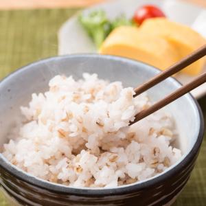 もち麦 讃岐もち麦ダイシモチ 2kg 国産 もち麦 お得用 大袋 香川県産 もちむぎ まんでがん 紫もち麦 株式会社まんでがん 香川県