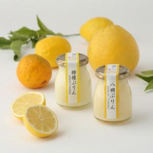洋菓子 プリン お取り寄せスイーツ sweets フルーツプ...