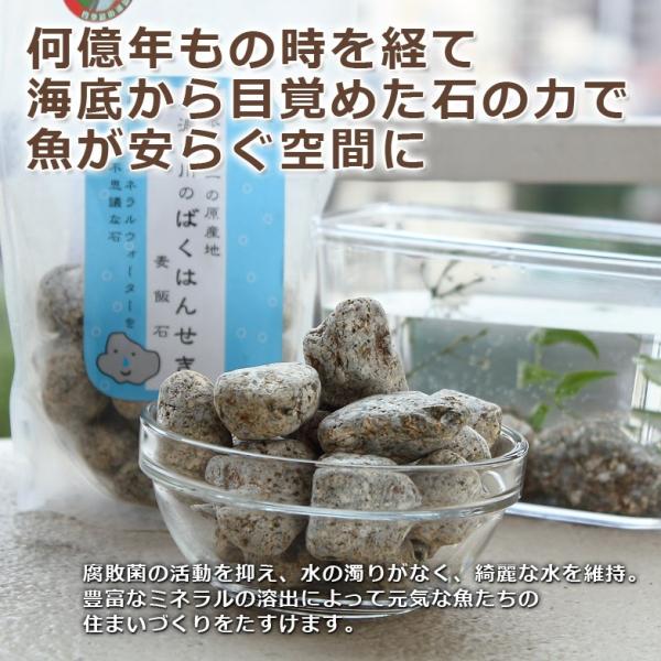 元気な魚と綺麗な水　〈麦飯石　1kg〉養魚用　｜　美濃白川麦飯石株式会社・岐阜県 送料無料 ポイント...