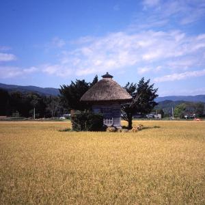 岩手県産 最上位米金銀各5kg セット お米 食べ比べ 白米 金色の風 銀河のしずく 米 詰合せ 国産 精米 河判｜nipponselect