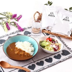 福岡のカレー専門店「Sabzi」オリジナル野菜カレー(１０食入り） 送料無料 ポイント消化