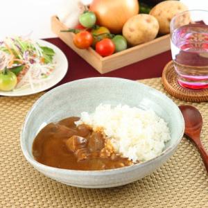 素材のよさを生かしてつくられた 懐かし味の華カレー＆牛の華カレー3種セット 送料無料 ポイント消化｜nipponselect