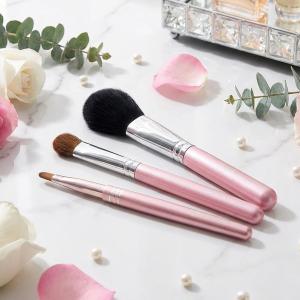 Chacott（チャコット） チークブラシ CHACOTT FOR PROFESSIONALS