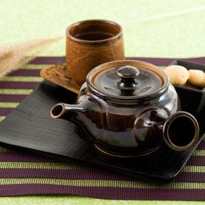 こだわりの使いやすさ 益子焼茶器（急須） 送料無料 ポイント消化