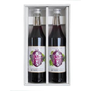 佐幸本店 佐幸 完熟山のきぶどう 瓶 600ml×2（J37セット 2本入×1） フルーツジュースの商品画像