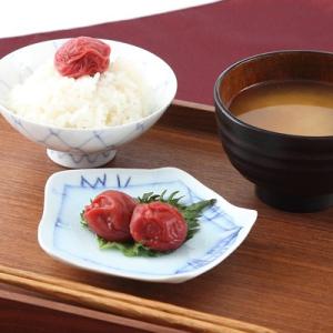 香り高いしその風味と塩分控えめの 上品な味わい 本場紀州南高梅しそ味１kg 送料無料 ポイント消化｜nipponselect