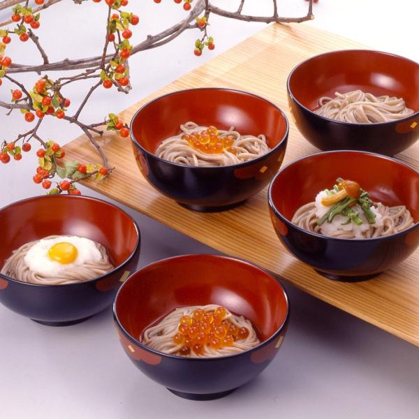 北舘製麺 岩手 わんこそば 半生 つゆ付 2人前 計6袋入 蕎麦 半生そば