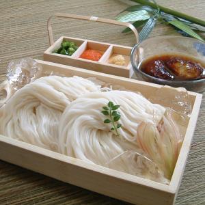 三輪山本 白髪 45g×2個入り そうめん 直径0.3mm 超極細そうめん 手延べ