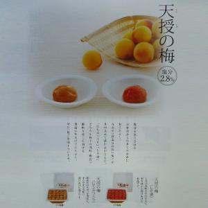 梅干し 天授の梅しそ漬 紀州南高梅 梅干 和歌...の詳細画像2