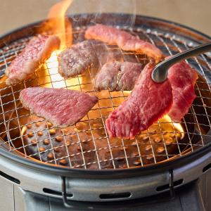 鳥取和牛 特撰カルビ焼肉セット 500g 国産 牛肉 バーベキュー 焼き肉 カルビ 肉 限定 高級 贅沢 鳥取県 送料無料 ポイント消化