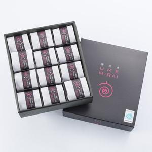 和菓子 お取り寄せスイーツ sweets 梅デザート 12個 梅未来 富之助のあまうめ 完熟南高梅 ...