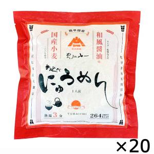 手延べにゅうめん 和風醤油味 20食入 詰合せ 自家用 国産小麦使用 そうめん 素麺 にゅうめん 国産 即席麺 長崎 島原 めんの山一｜nipponselect