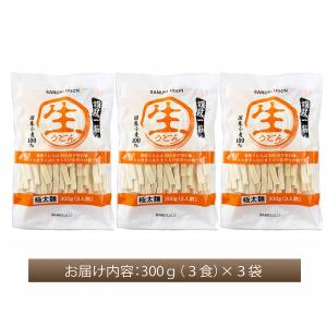 極太麺 讃岐うどん 9食〔300g×3〕 超モ...の詳細画像1
