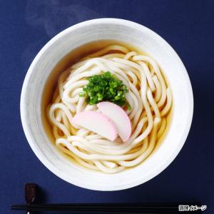 さぬきのレンチンうどん かけうどん 10食 詰合せ うどん 常温 惣菜 麺類 讃岐うどん 香川名物 電子レンジ調理｜nipponselect