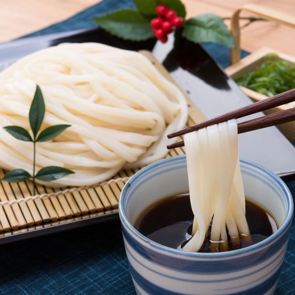 水沢坊うどん 12人前 セット 詰め合わせ 水沢うどん 乾麺 庵古堂 うどん 饂飩 群馬名物 麺 食...