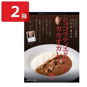パレドオール ショコラティエが作ったカカオカレー 2箱 レトルトカレー｜nipponselect