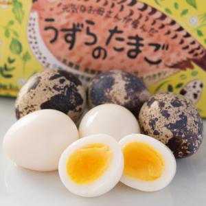 うずらの卵 命のカプセル ギフトパック 生卵 うずらの玉子