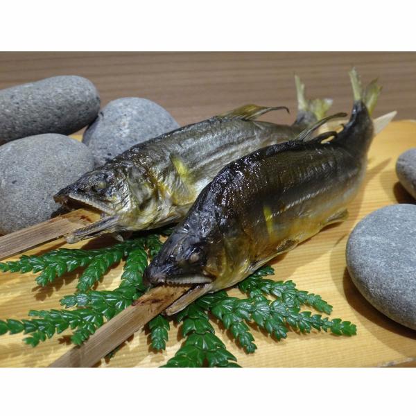 天然鮎塩焼き TAU-100C 清流長良川 冷凍 焼き魚 あゆの塩焼き 岐阜県産 国産 魚料理 郷土...