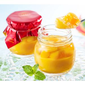 ポイント2倍 バレンタイン ギフト 財宝 プレミアム プリン 送料無料 6種 6個入 スペシャル 抹茶 ショコラ チーズ 紅はるか きなこ とろふわ 人気 財宝公式通販 Paypayモール店 通販 Paypayモール