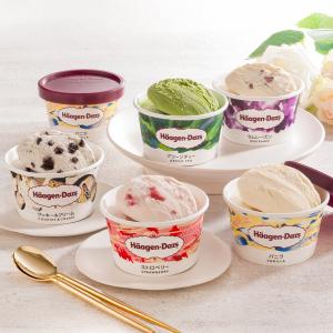 ハーゲンダッツ アイスクリーム 食べ比べセット アイスクリーム【沖縄県・離島 配送不可】