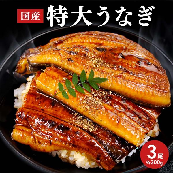 九州産 特大うなぎ蒲焼 タレ 山椒付き 3尾 鰻蒲焼 冷凍