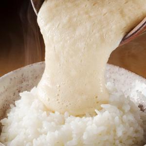 自然薯とろろギフトセット 九州産 じねんじょ とろろ