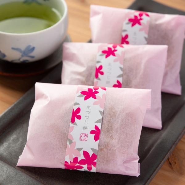 生つつじ餅 10個入 佐賀 銘菓 和菓子 スイーツ お菓子 餡入り 饅頭 まんじゅう 餅菓子 あびに...