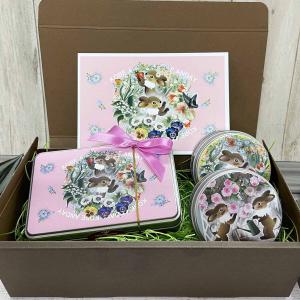 ラ・メゾン・デュ・ショコラ アソルティモンメゾンS2　ラメゾンデュショコラ Amazon.co.jp: ラ・メゾン・デュ・ショコラ アソルティモンメゾン S2