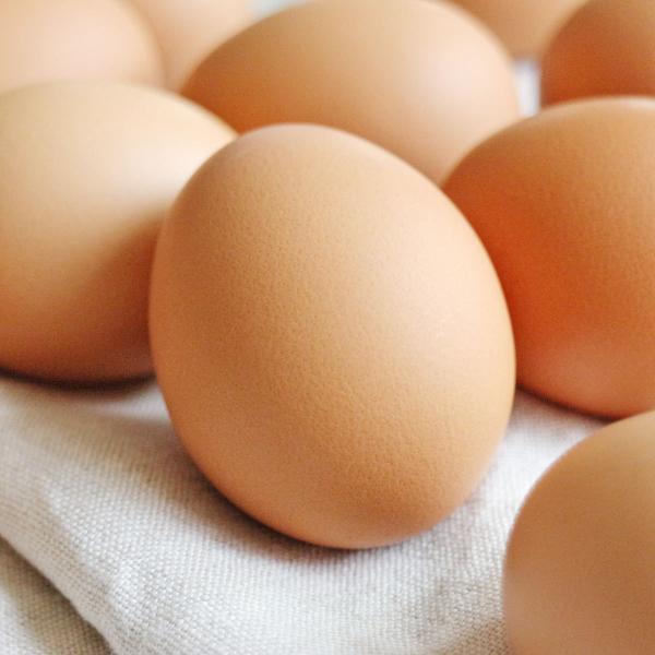 人生これか卵 20個 詰合せ 卵 愛媛県産 常温 鶏卵 たまご 国産 愛媛 イヨエッグ