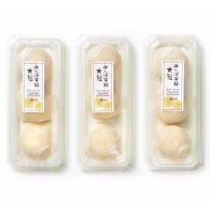 あんぽ干柿大福 9個 大福 和菓子 フルーツ大...の詳細画像1